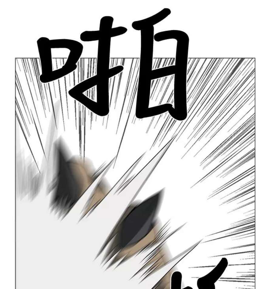 91.jpg