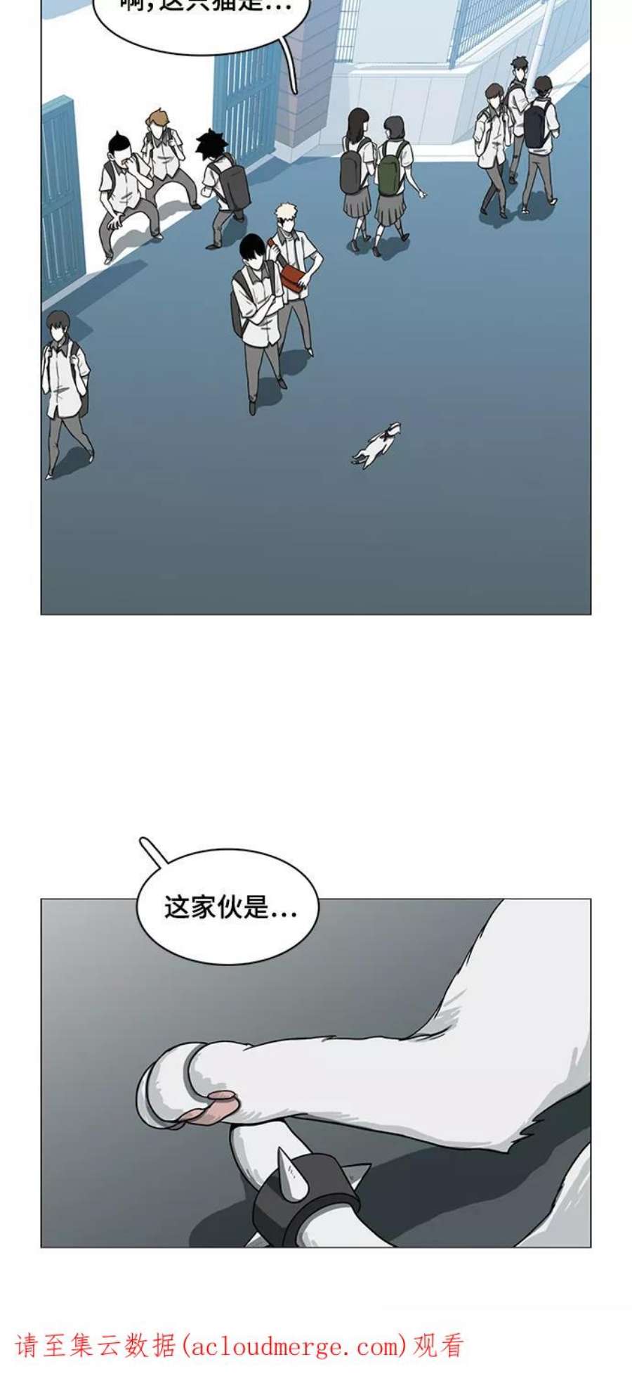 53.jpg