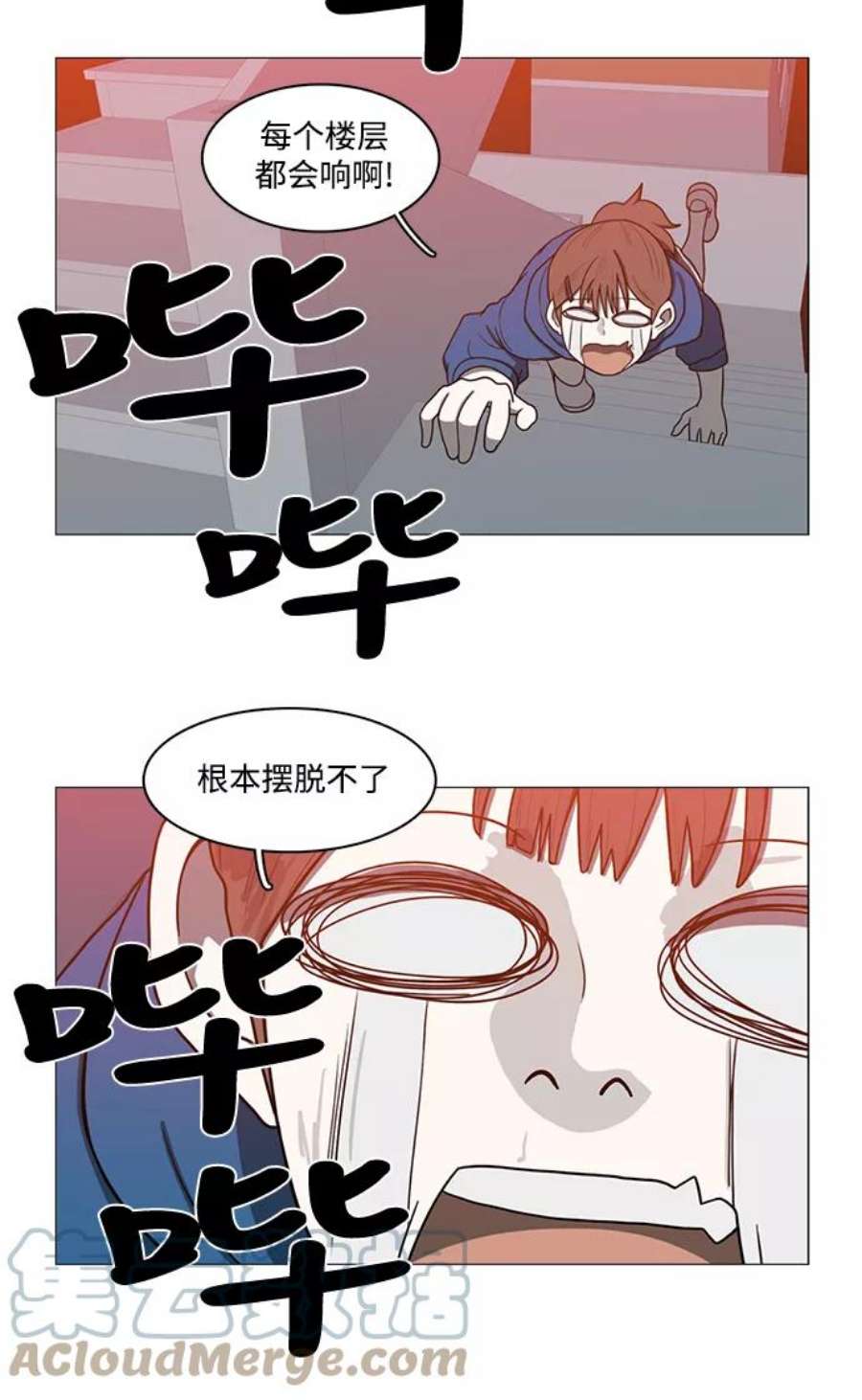 43.jpg