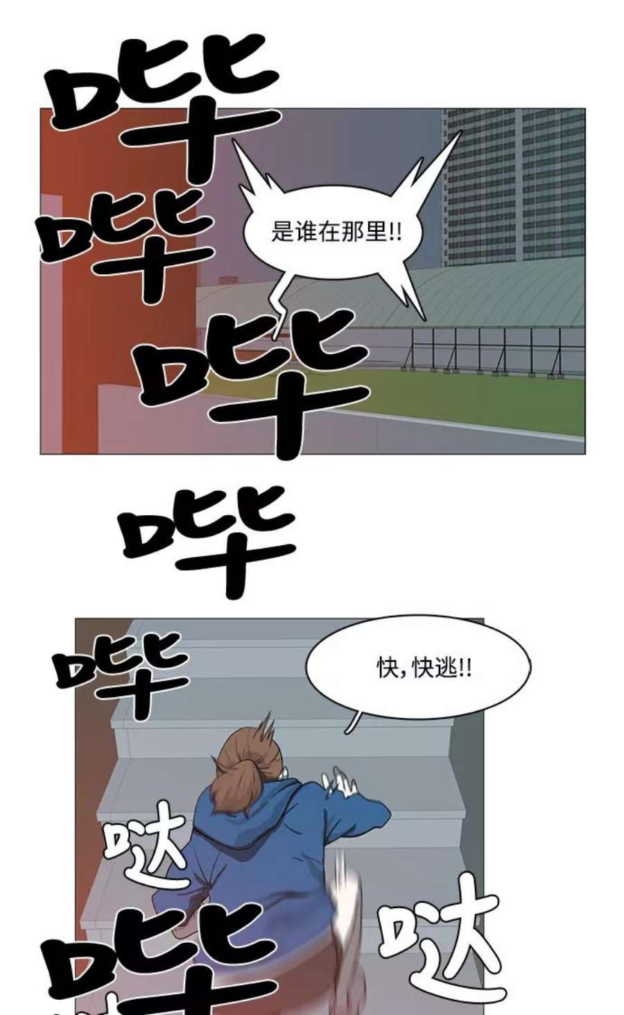 41.jpg