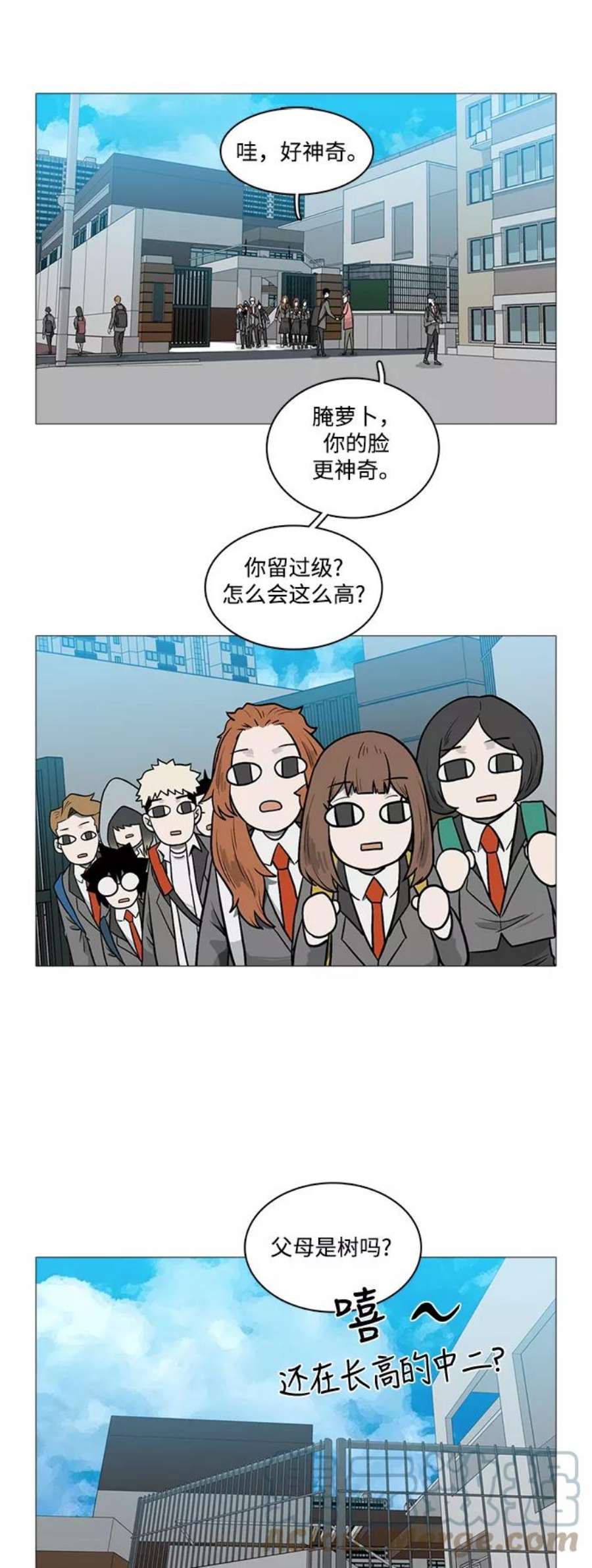 13.jpg