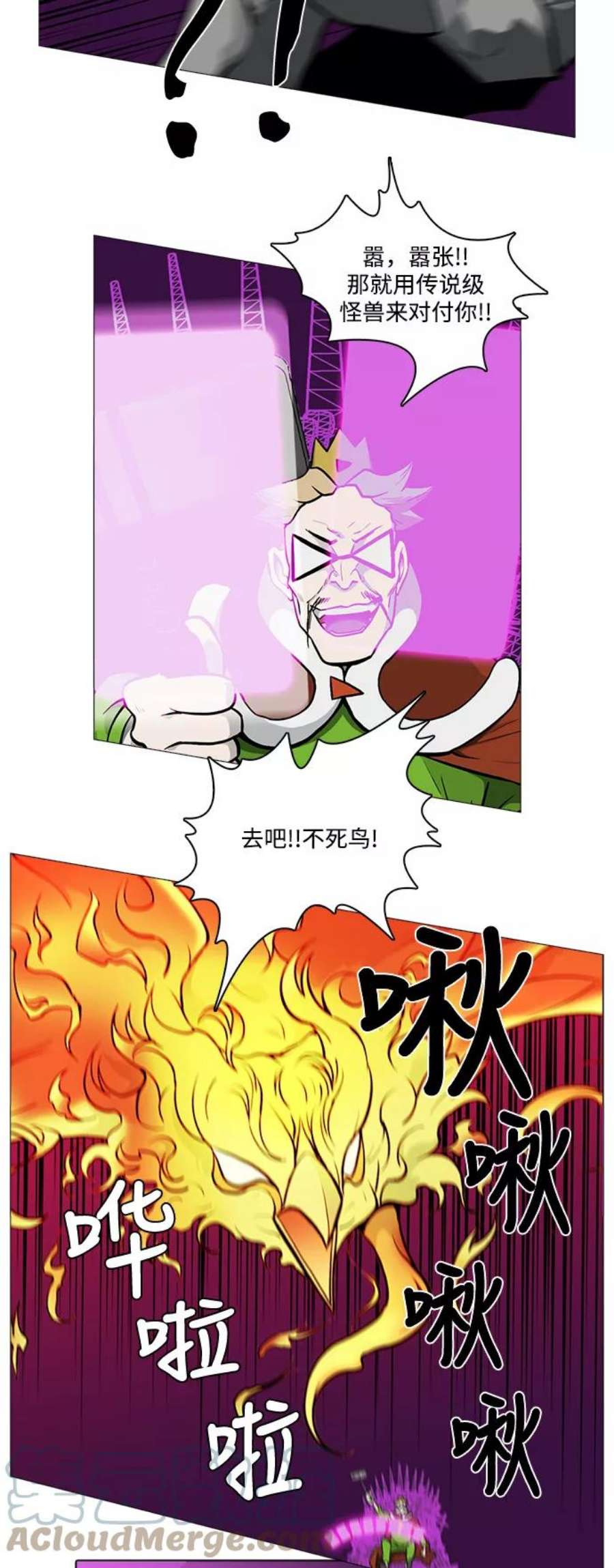 25.jpg