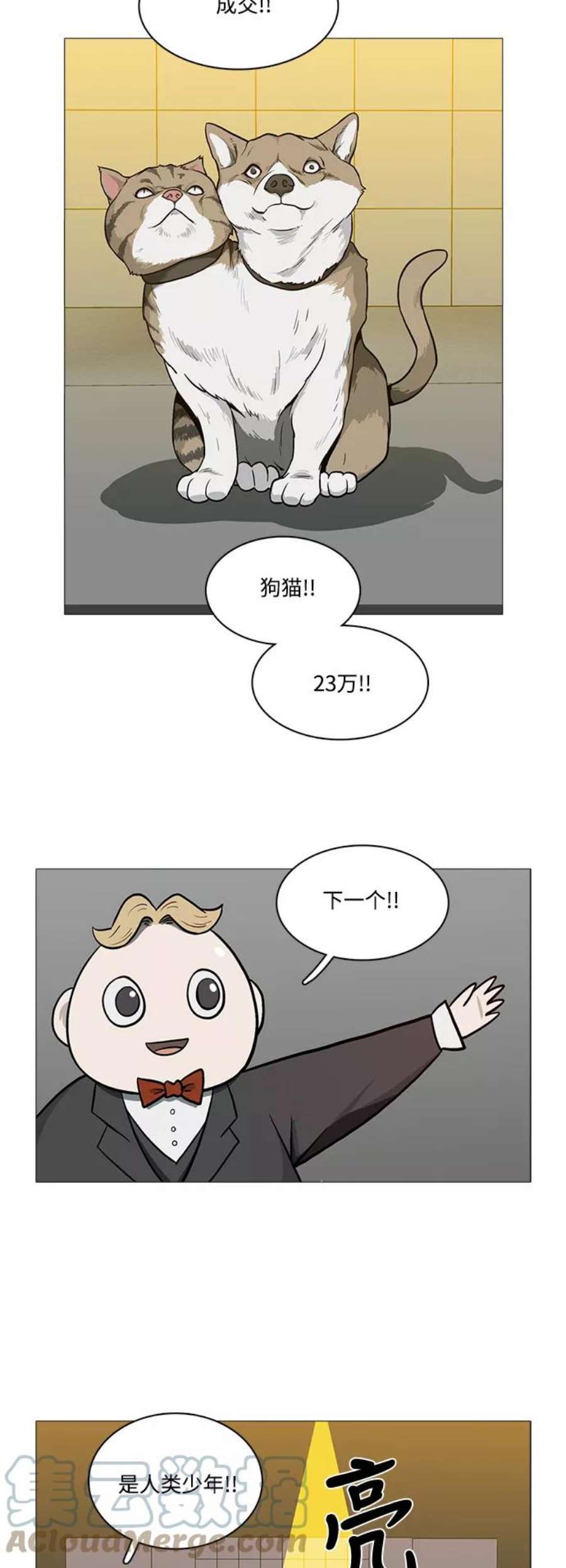 33.jpg