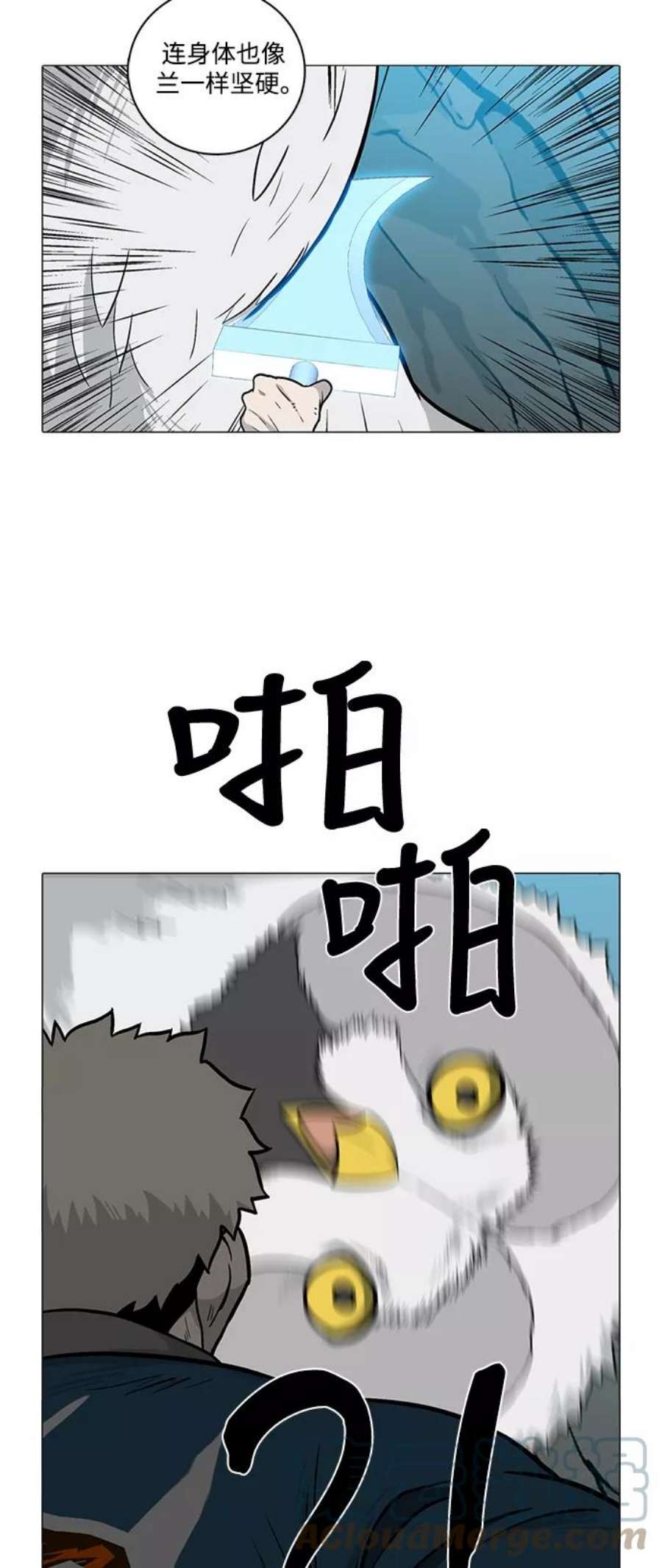 19.jpg