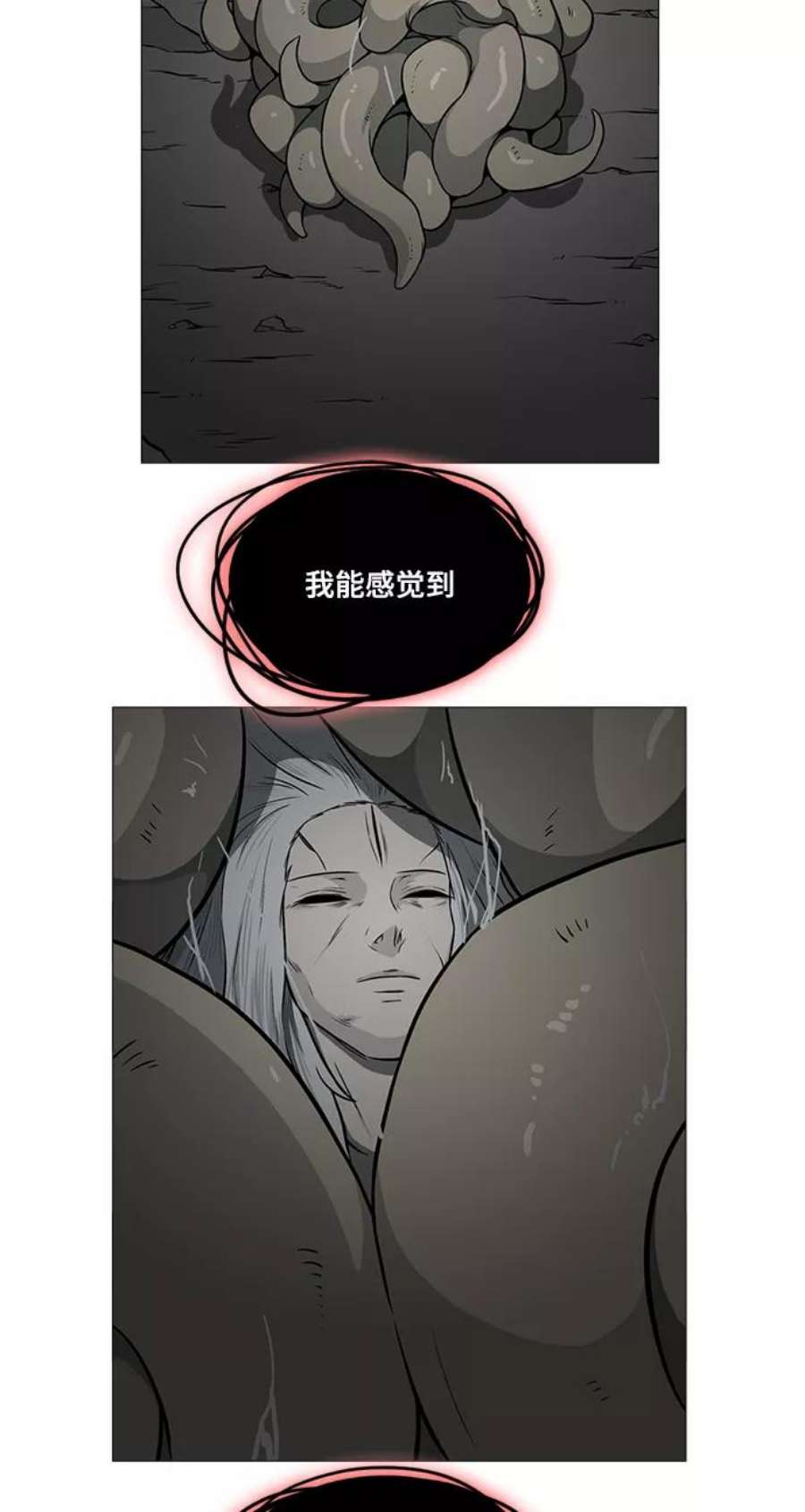 48.jpg