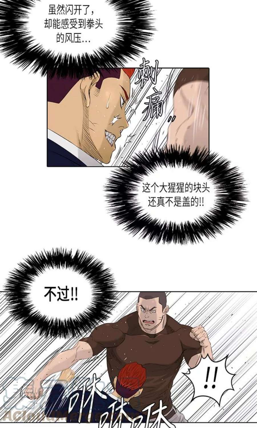 4.jpg