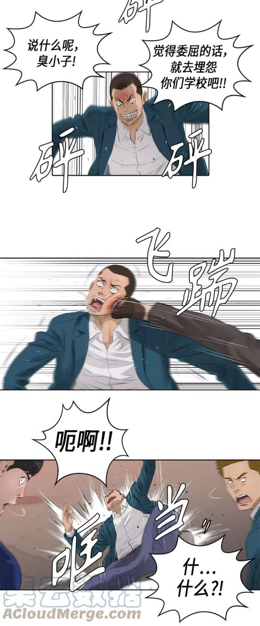 25.jpg