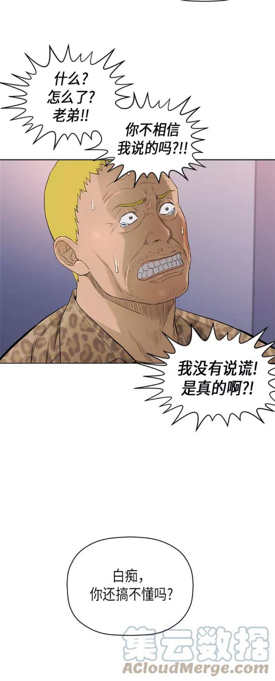 41.jpg