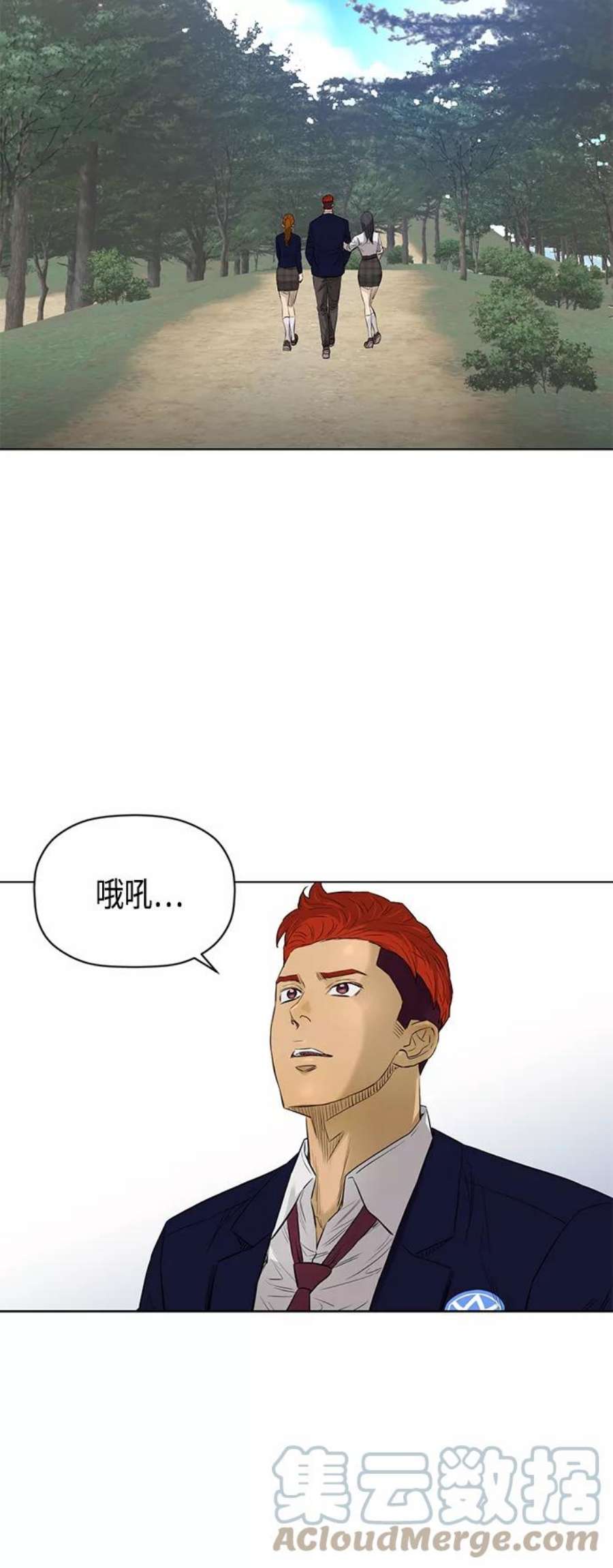 41.jpg