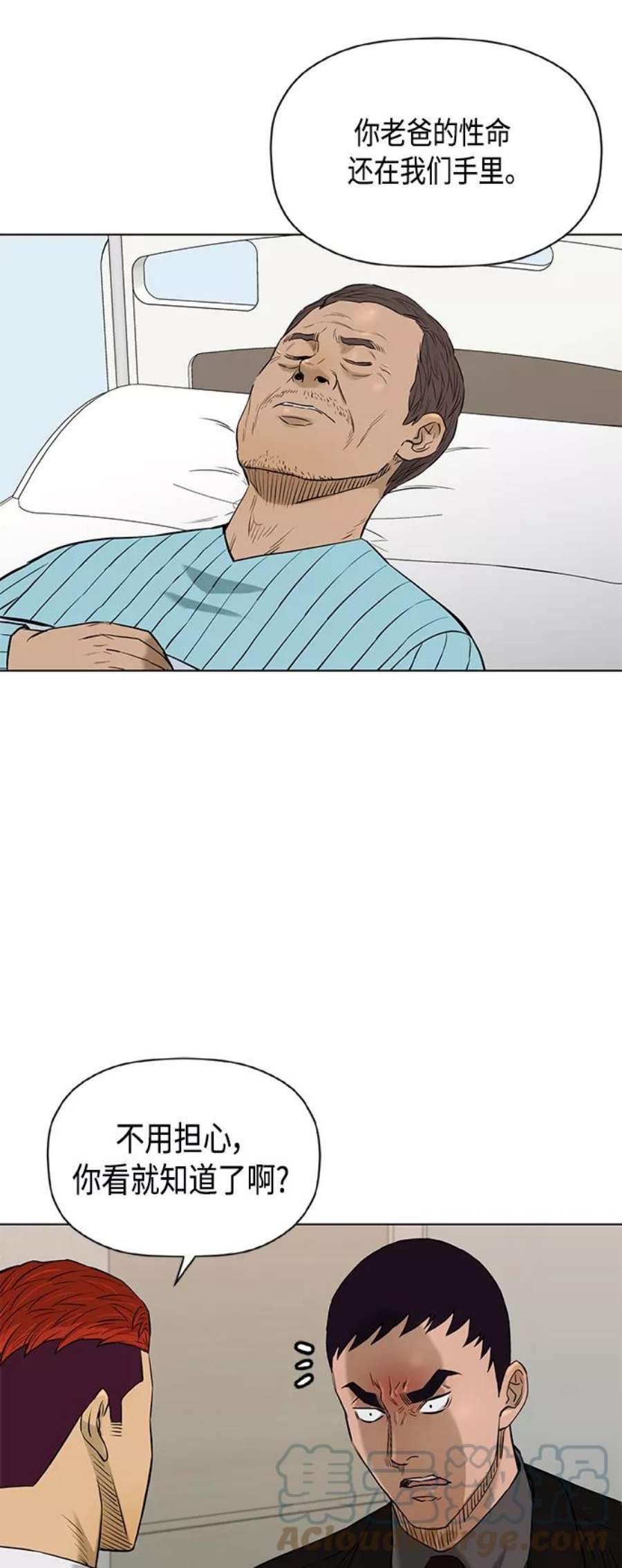 41.jpg