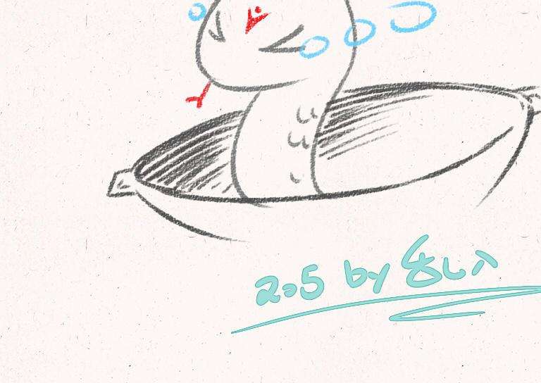 25.jpg