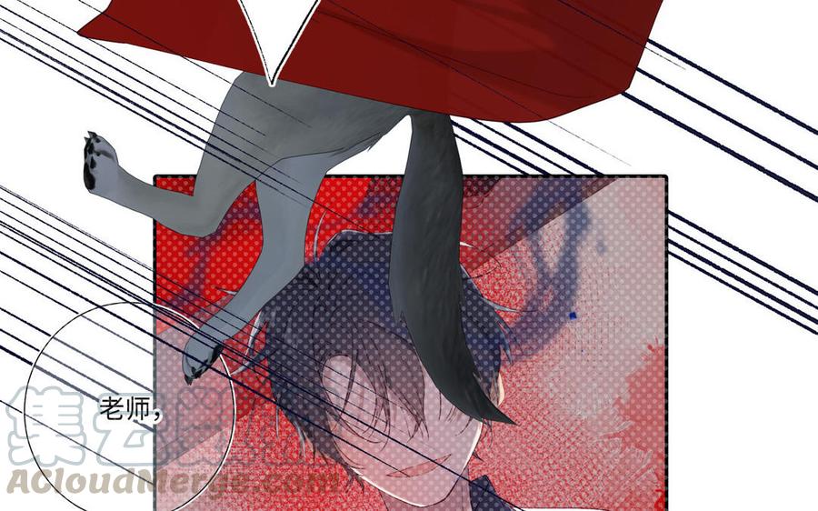 113.jpg