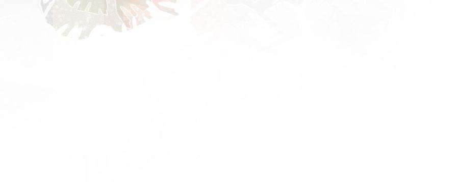 126.jpg