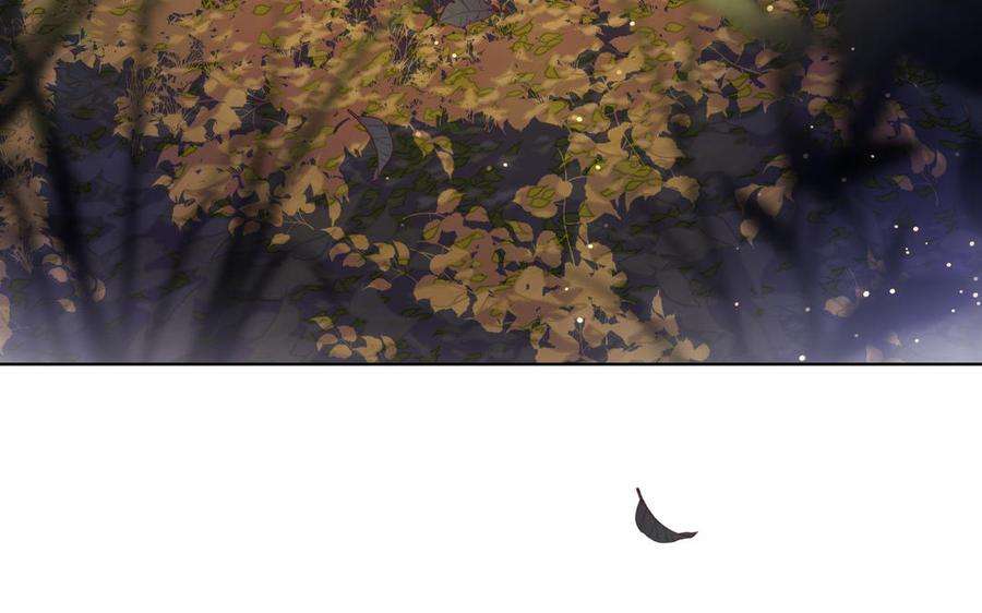 126.jpg