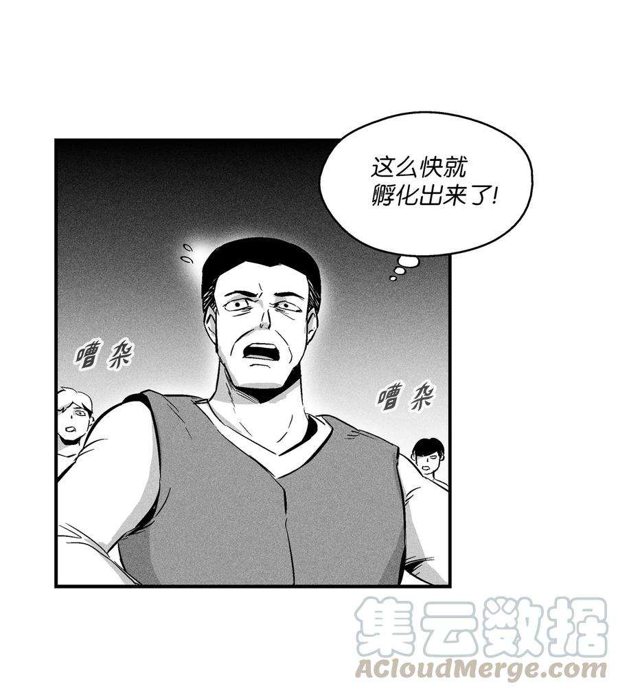 49.jpg