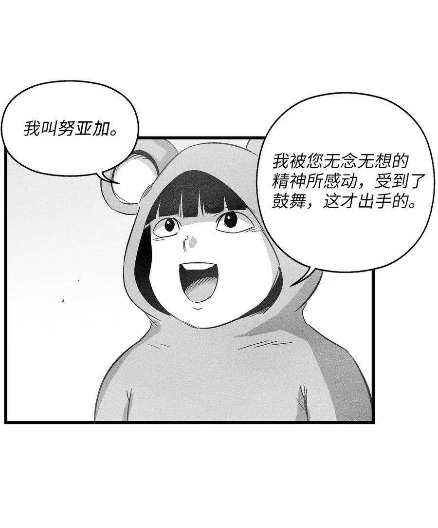 51.jpg
