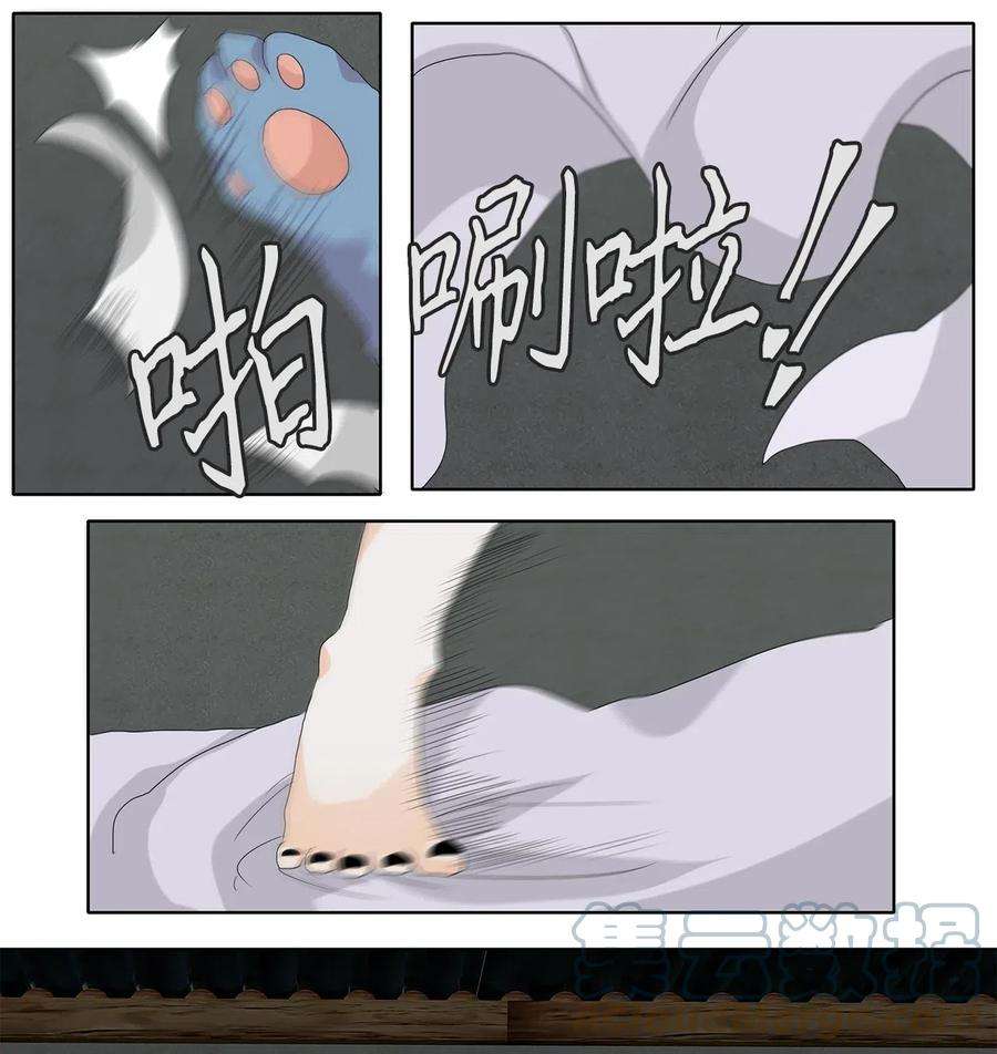 13.jpg