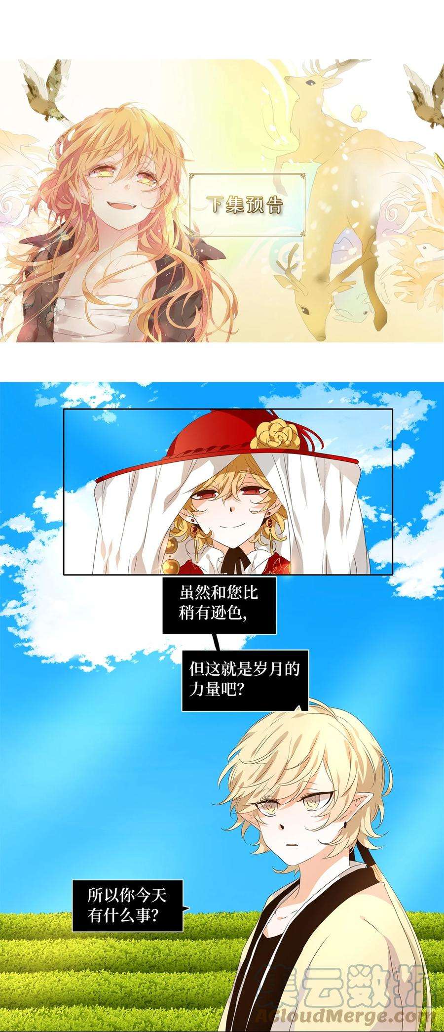 29.jpg