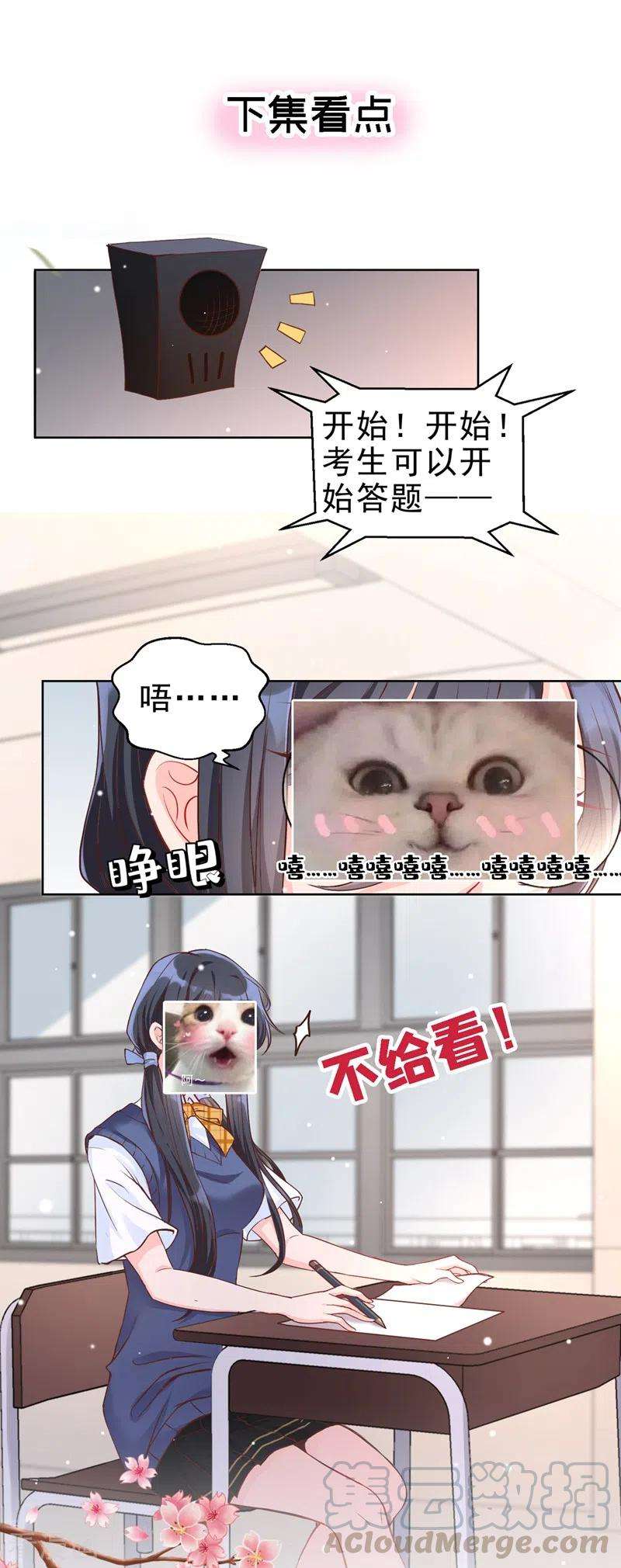 41.jpg