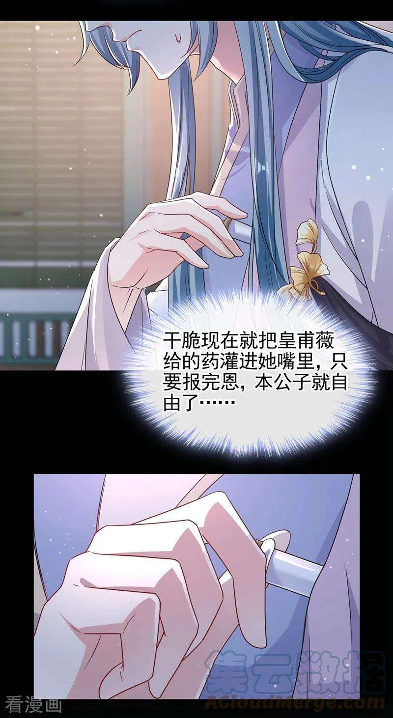 15.jpg