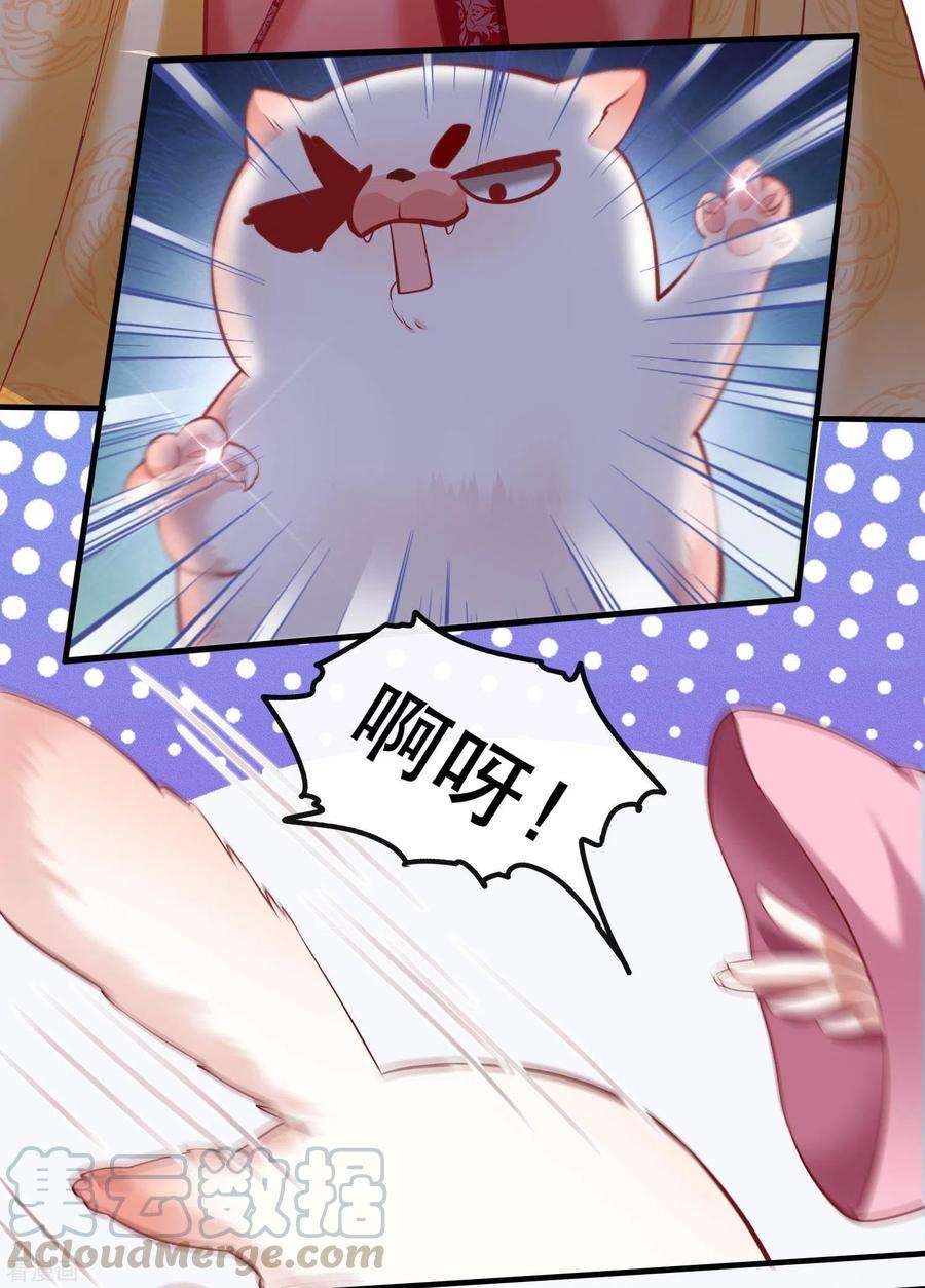 29.jpg