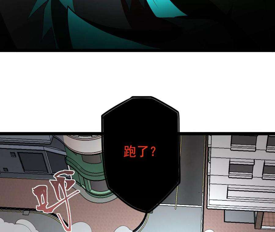 47.jpg