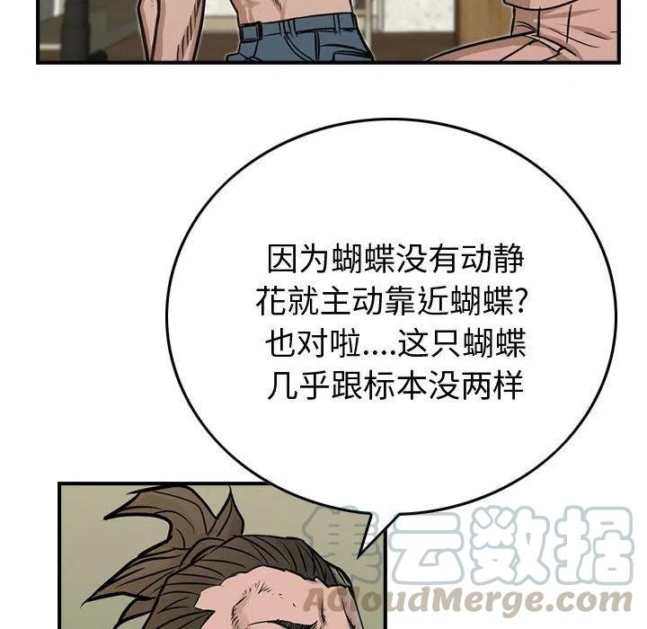 61.jpg