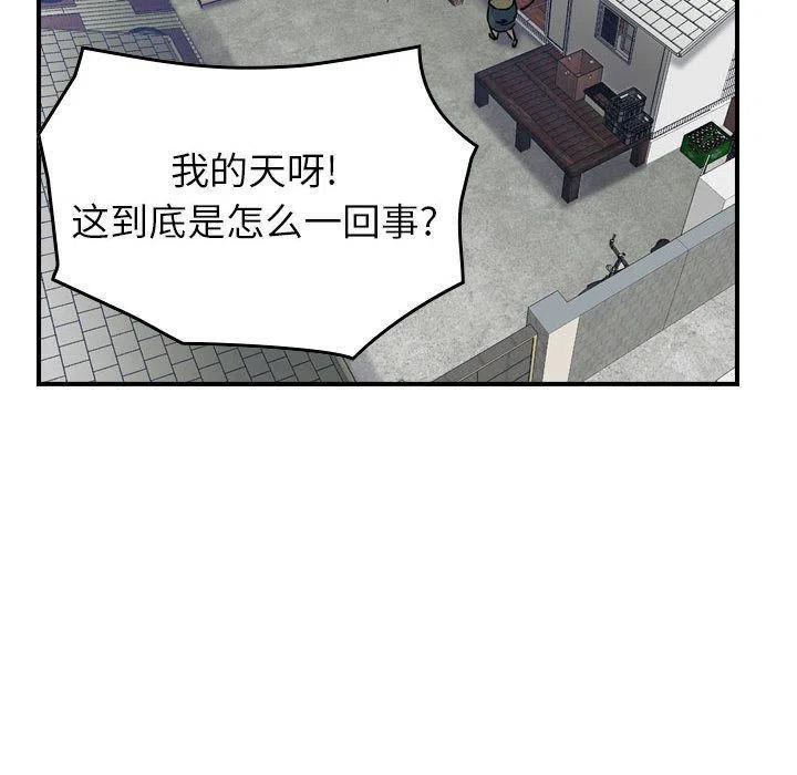 87.jpg