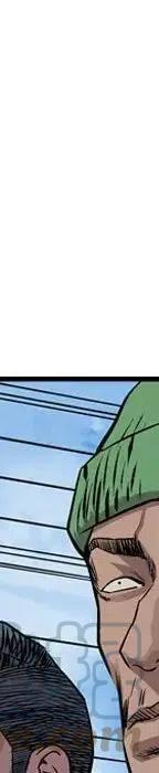 373.jpg