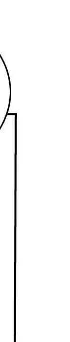 232.jpg