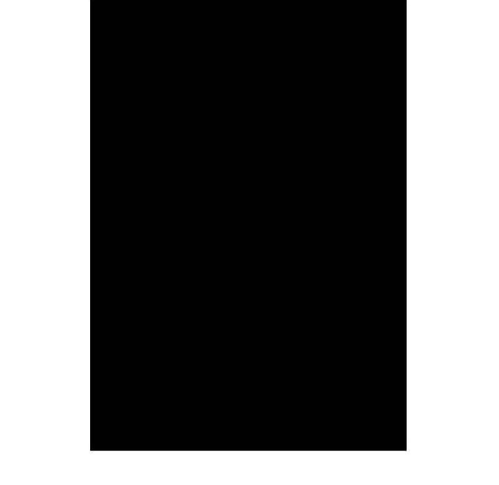 88.jpg