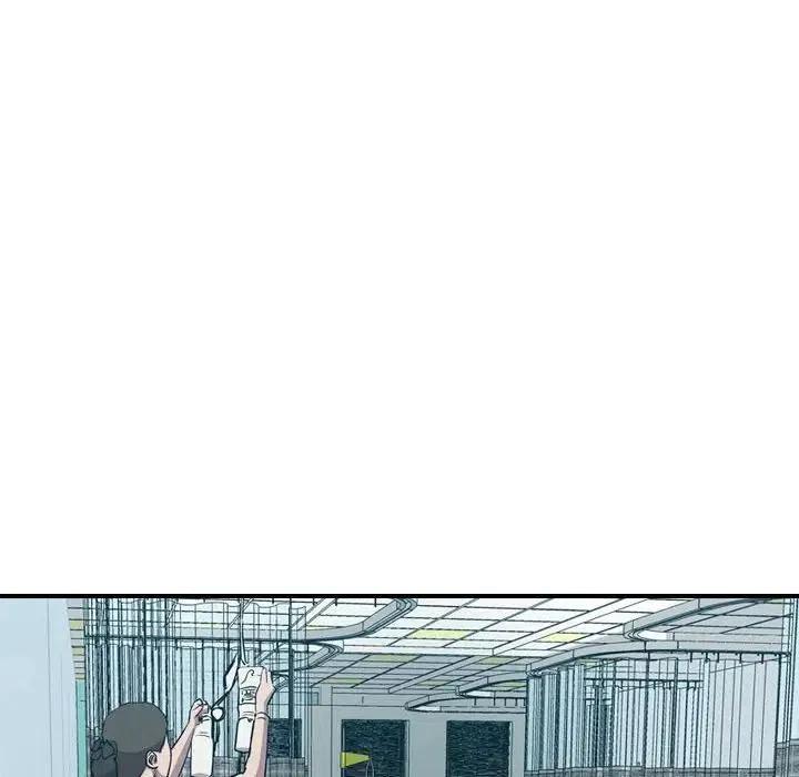 95.jpg