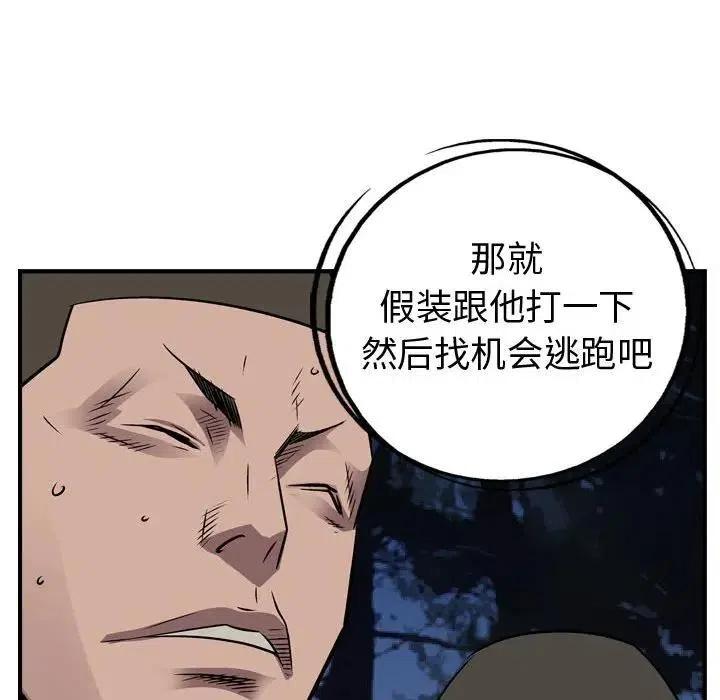 84.jpg