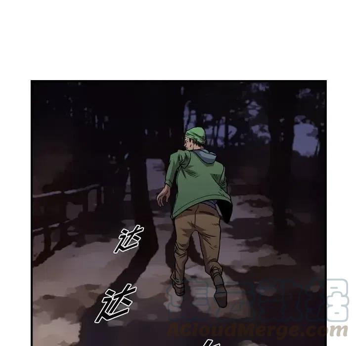 53.jpg
