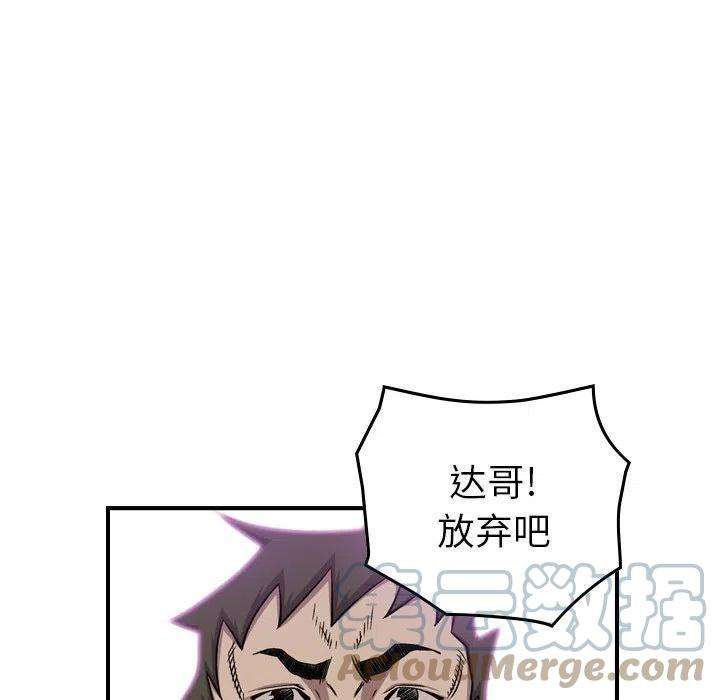 113.jpg