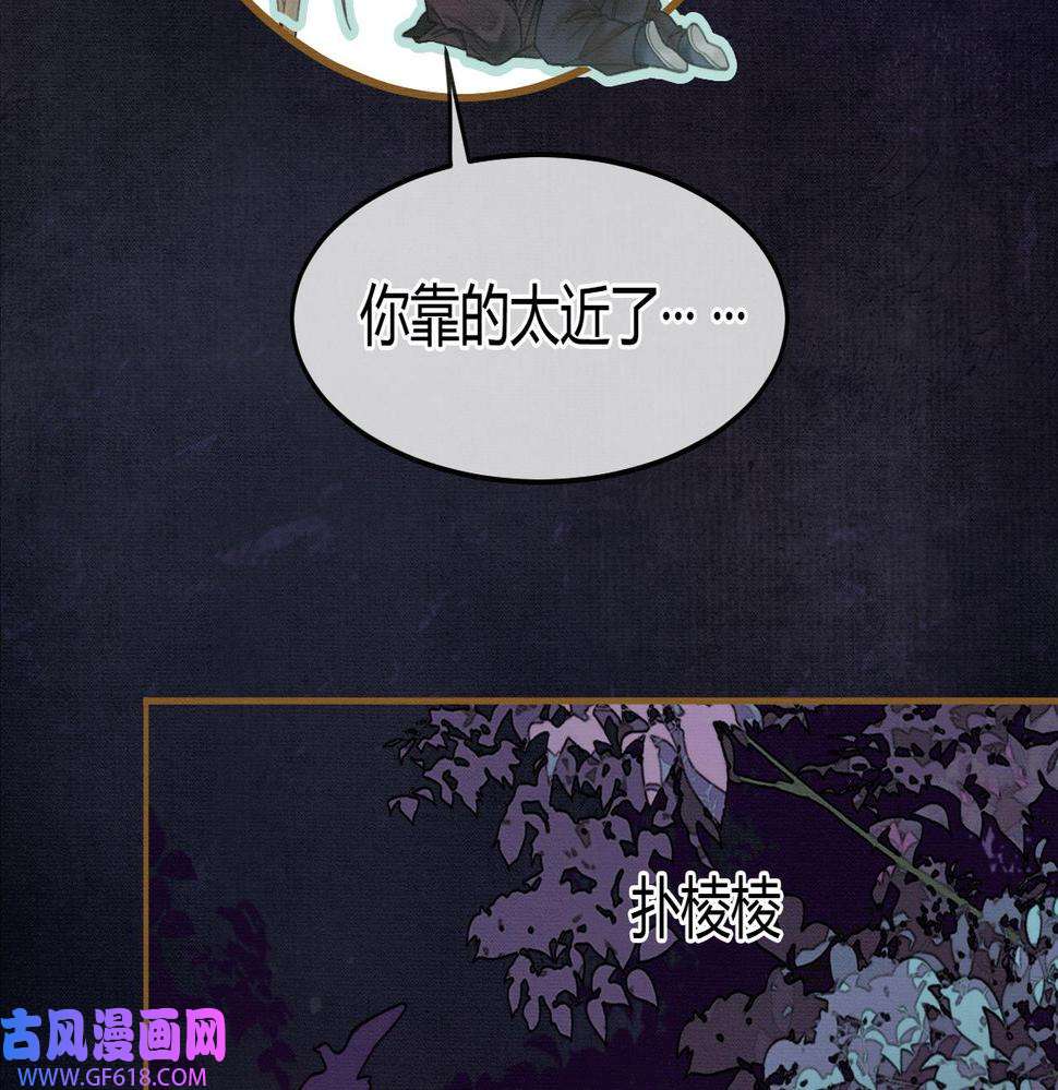 47.jpg