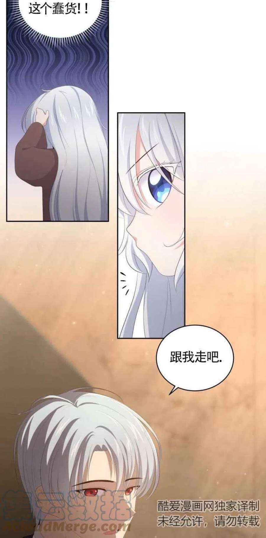 40.jpg