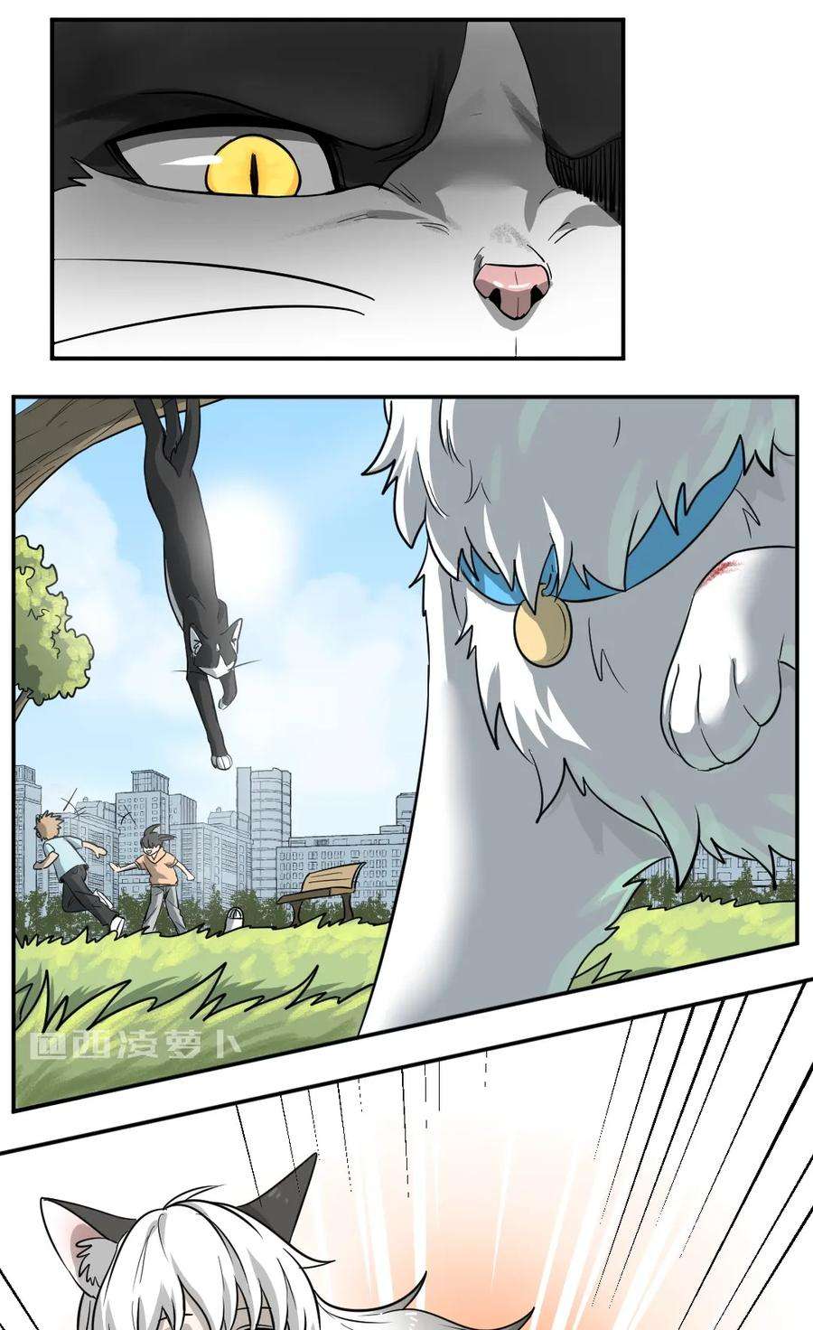 5.jpg