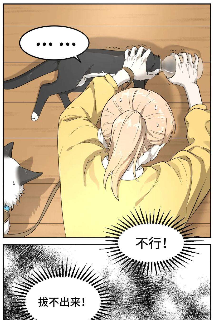 17.jpg