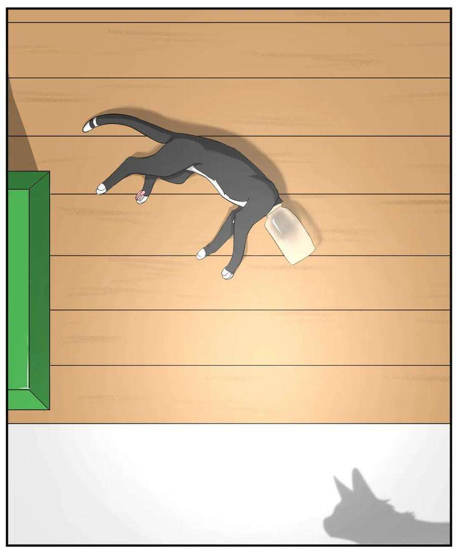 12.jpg