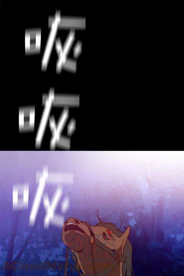 137.jpg