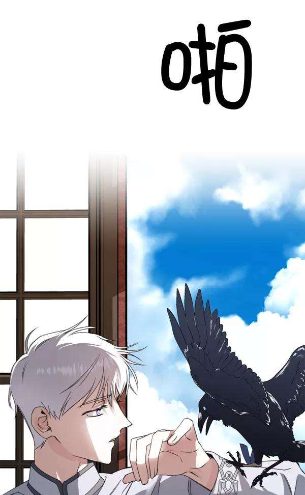 84.jpg