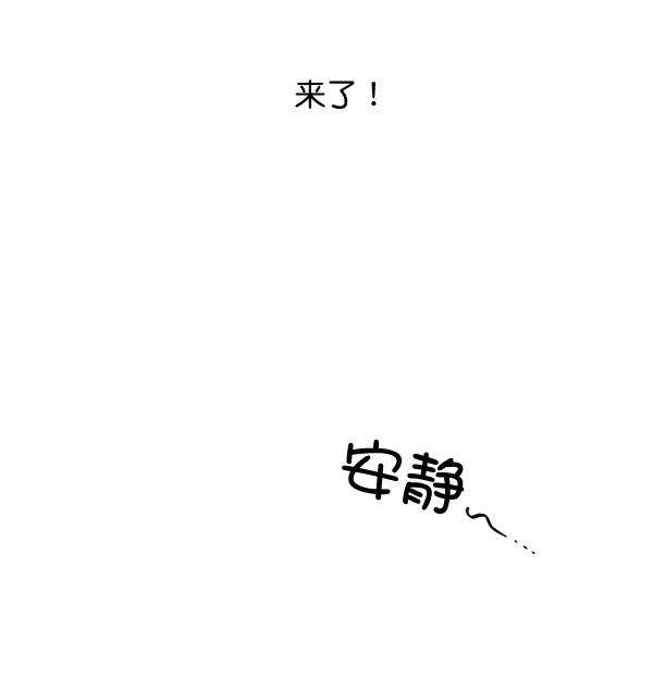 74.jpg