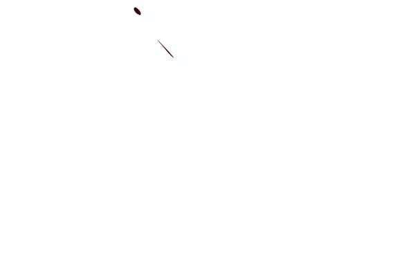 103.jpg