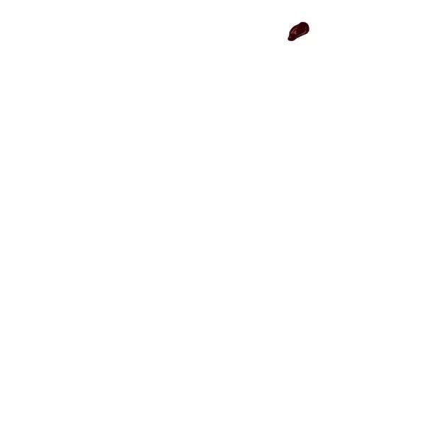 83.jpg