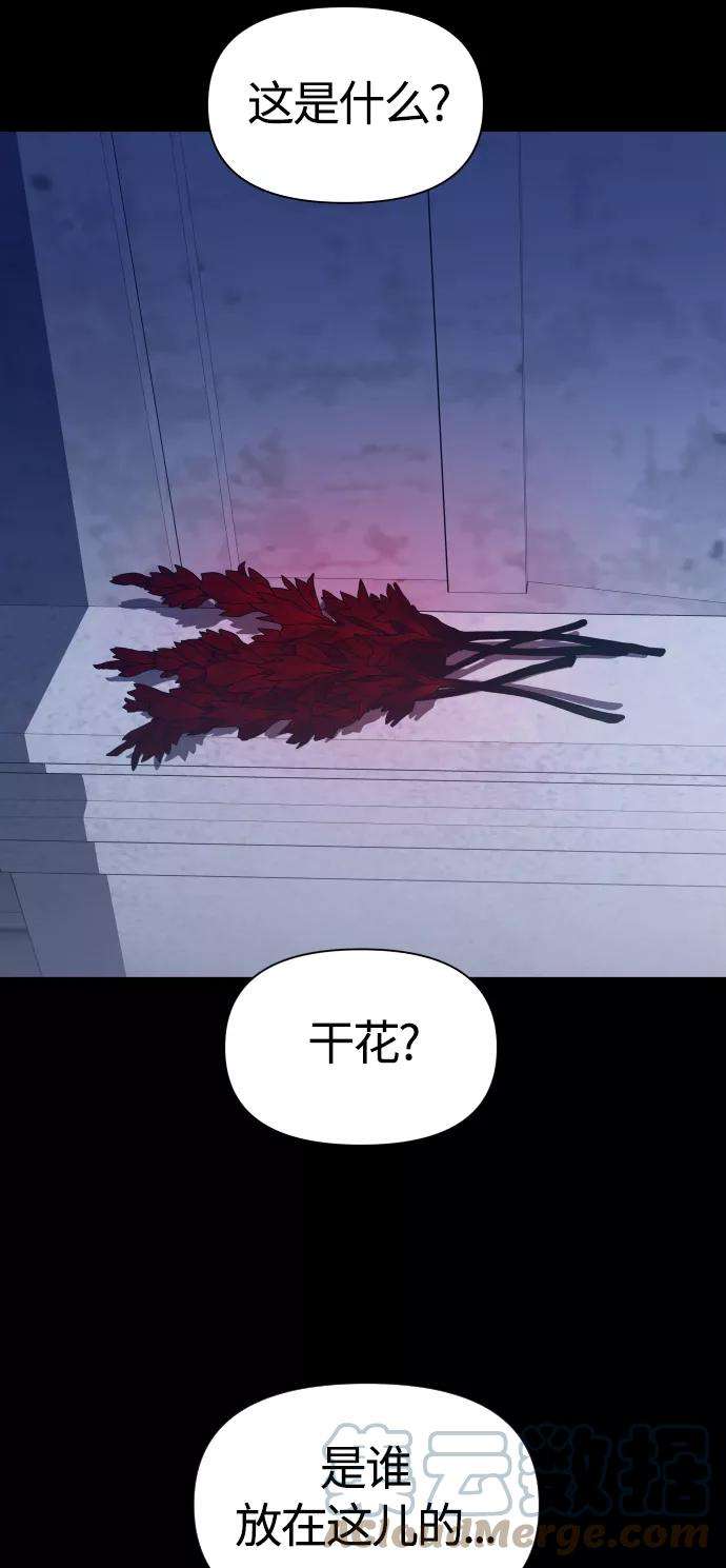 79.jpg