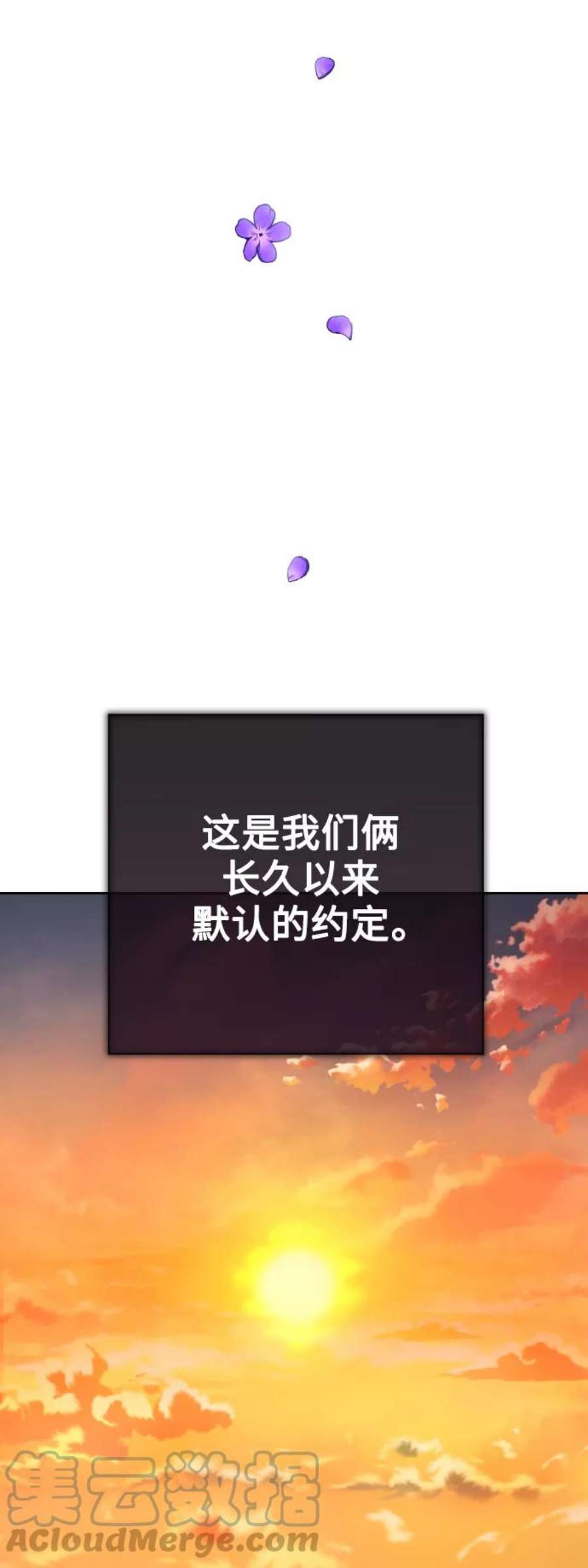 113.jpg