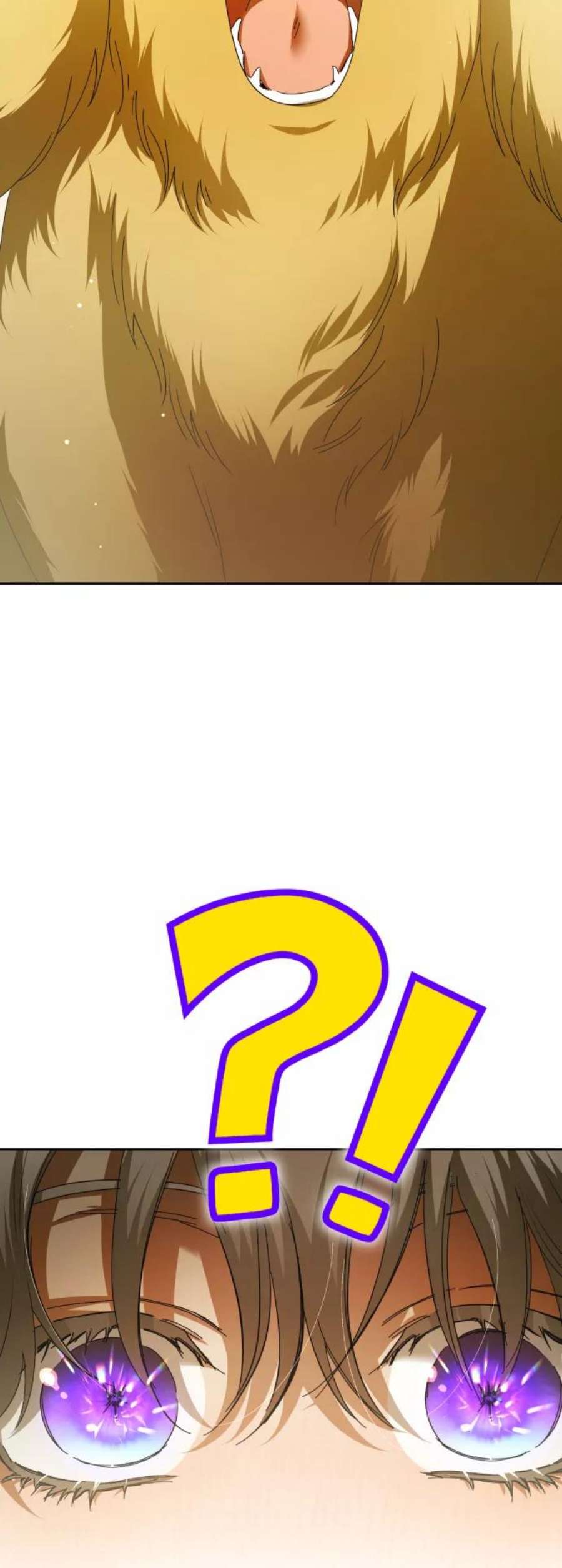 74.jpg