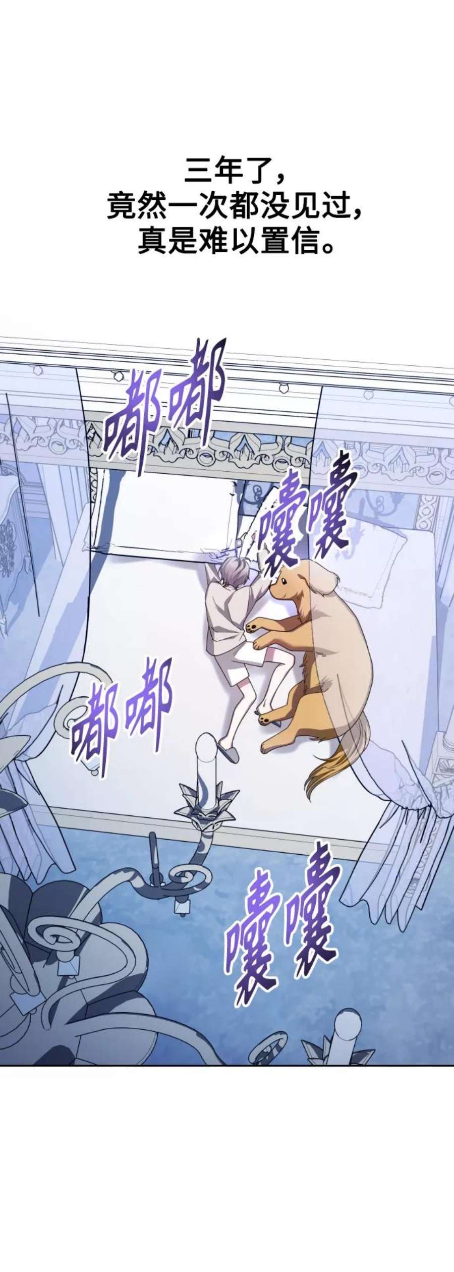 50.jpg