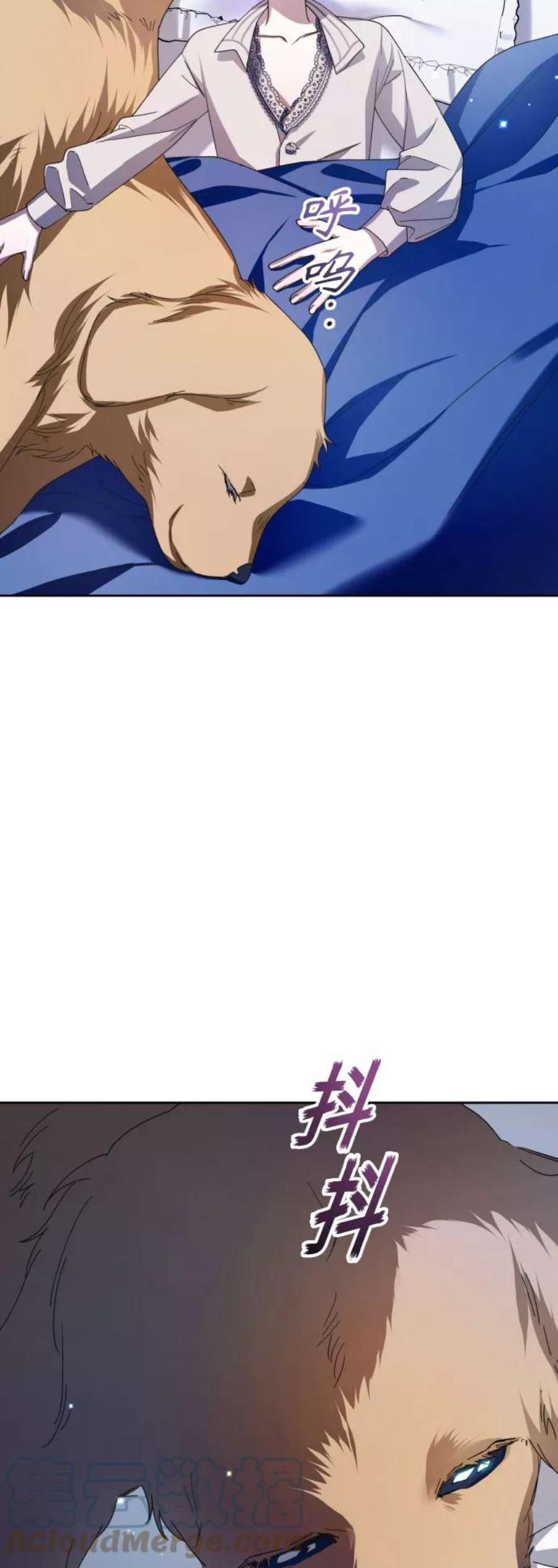 61.jpg